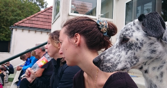 aurélie pet sitter à COUFOULEUX 81800_0