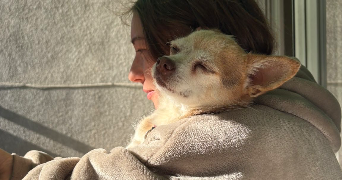 axelle pet sitter à AXAT 11140_6