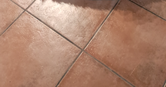 adeline pet sitter à CEAUX EN LOUDUN 86200_5