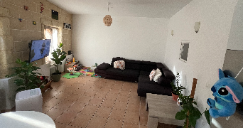 rebeca pet sitter à BAGNOLS SUR CEZE 30200_3
