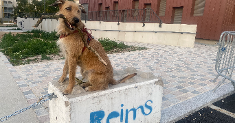 clémence pet sitter à REIMS 51100_9