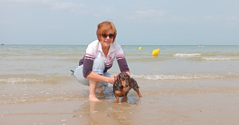anne pet sitter à HERSTAL 4040_1