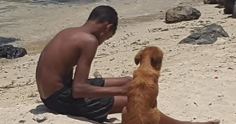 ethan dog sitter à AIX EN PROVENCE 13090_1