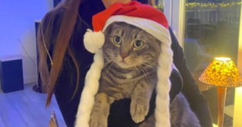 romane pet sitter à LAGNY SUR MARNE 77400_3