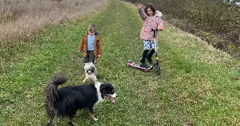 john dog sitter à ST ANTOINE DU ROCHER 37360