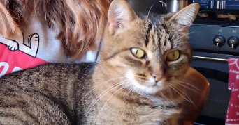 jasmine pet sitter à CLERMONT FERRAND 63000_1