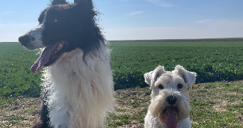 constance pet sitter à STRASBOURG 67000_5