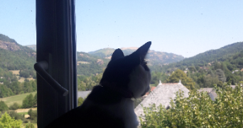 mélina pet sitter à VIC SUR CERE 15800_2