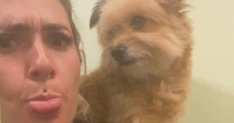 victoria pet sitter à PLAISANCE DU TOUCH 31830_1