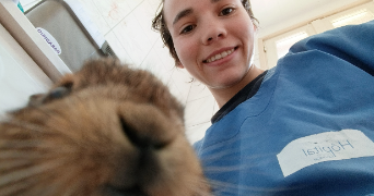 angélique pet sitter à MAISONS LAFFITTE 78600_3