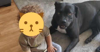 anais pet sitter à GAZERAN 78125_0