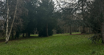 axel pet sitter à SEPTEUIL 78790_2