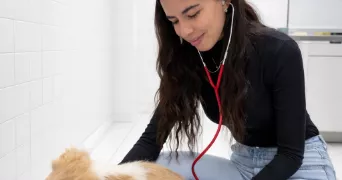 lucie pet sitter à MENUCOURT 95180