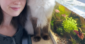 lou-anne pet sitter à LANDIRAS 33720_7