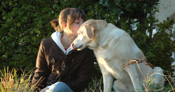 alice pet sitter à FRESNES 94260_1