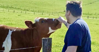 teddy pet sitter à LE CATEAU CAMBRESIS 59360_2