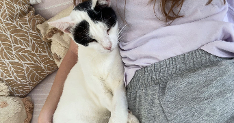 daphnée pet sitter à CAPPELLE EN PEVELE 59242_3