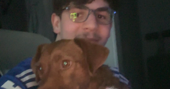 roccadoro pet sitter à FRESNES 94260_3