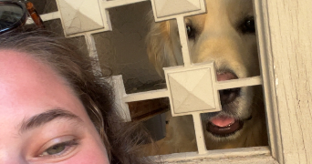 aline pet sitter à CALUIRE ET CUIRE 69300_5