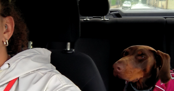 colyne pet sitter à BESANCON 25000_0