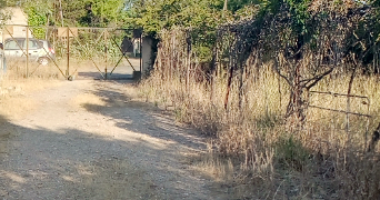 michele pet sitter à SERIGNAN 34410_1