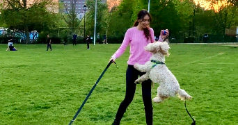 sianne dog sitter à CANNES 06400_5