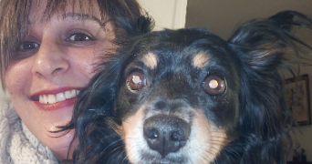 vanessa dog sitter à TOULOUSE 31000_0