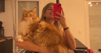 carla pet sitter à MARSEILLE 13 13013_0