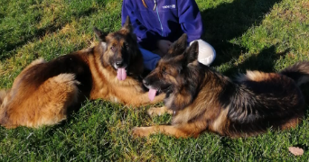 anna pet sitter à BORDEAUX 33000_3