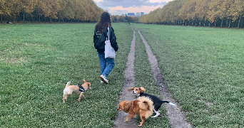 celia pet sitter à PARIS 12 75012_2