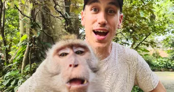 johan pet sitter à VILLEURBANNE 69100