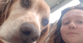 juliette pet sitter à ST GREGOIRE 35760_1