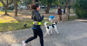 andrea pet sitter à PARIS 12 75012_5