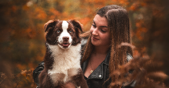 méline pet sitter à FORSTHEIM 67580_3