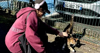 asmaa pet sitter à MAISONS ALFORT 94700