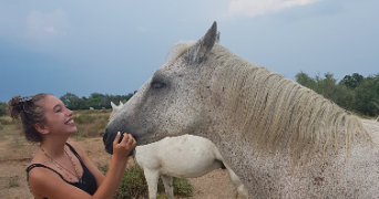 laura pet sitter à PIGNANS 83790_0