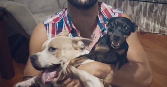 pedro henrique pet sitter à BOISSY ST LEGER 94470_1