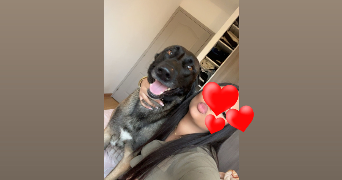 kenza pet sitter à GRENOBLE 38000_0