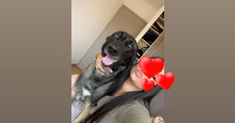 kenza pet sitter à GRENOBLE 38000