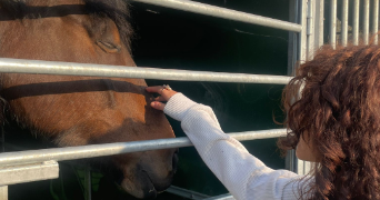 rania pet sitter à COUTHUIN 4218_1