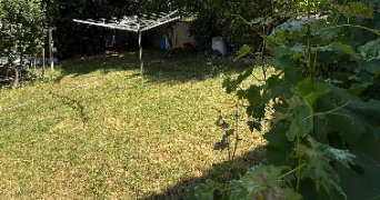 linda pet sitter à SAVIGNY SUR ORGE 91600_0