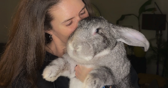 lisa pet sitter à Horbourg wihr 68180_0