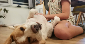 florence pet sitter à CALUIRE ET CUIRE 69300_1