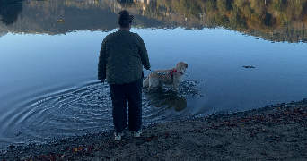marie pet sitter à FONTANNES 43100_1
