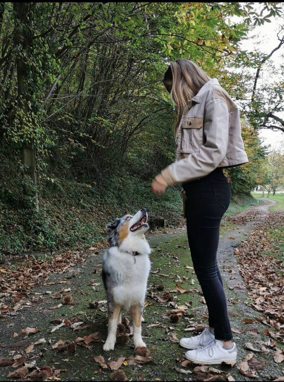 nolwenn pet sitter à Arles 13200_0