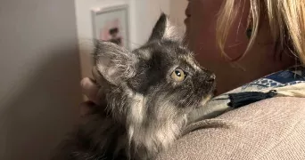 stéphanie  pet sitter à ST GERMAIN EN LAYE 78100