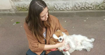 ondine pet sitter à FRESNES 94260_2