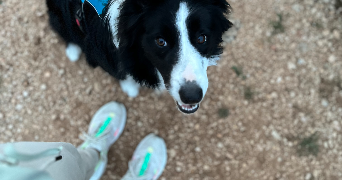 laura pet sitter à LE ROVE 13740_1