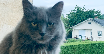 sandrine pet sitter à MARTIGUES 13500_3