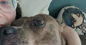 romane pet sitter à JURANCON 64110_2